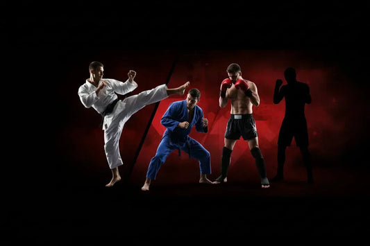 Le principali arti marziali: quale scegliere e che attrezzatura serve | Punto Fitness Potenza