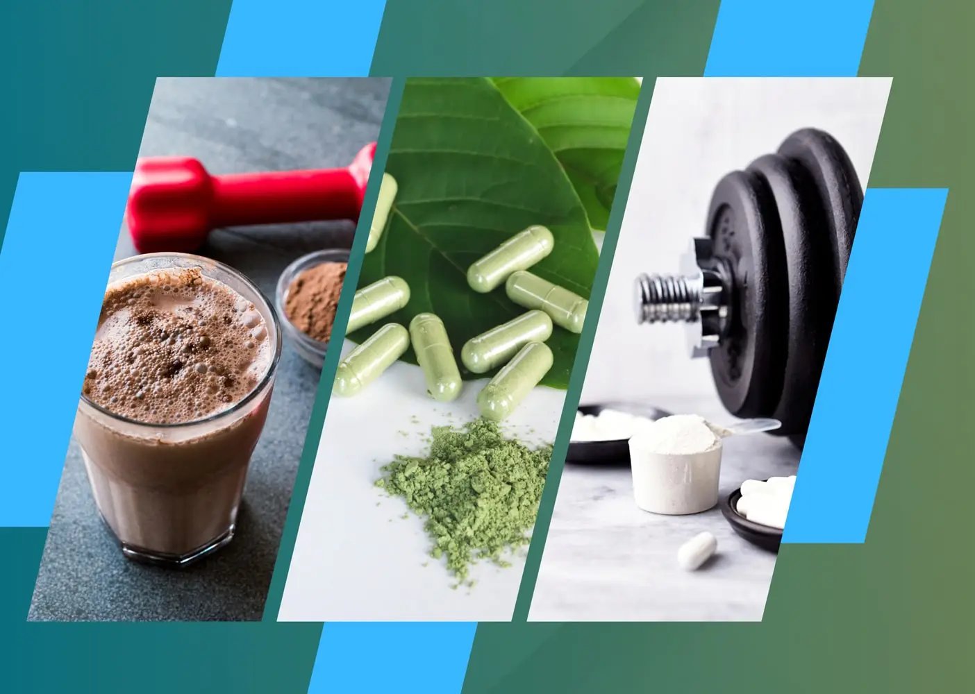 Punto Fitness Potenza - Negozio Articoli Sportivi specializzato per gli integratori proteine creatina aminoacidi bcaa collagene omega-3 marche BiotechUSA Anderson Self Omninutrition