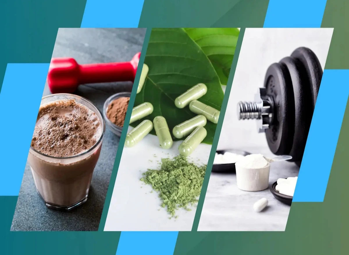 Punto Fitness Potenza - Negozio Articoli Sportivi specializzato per gli integratori proteine creatina aminoacidi bcaa collagene omega-3 marche BiotechUSA Self Omninutrition