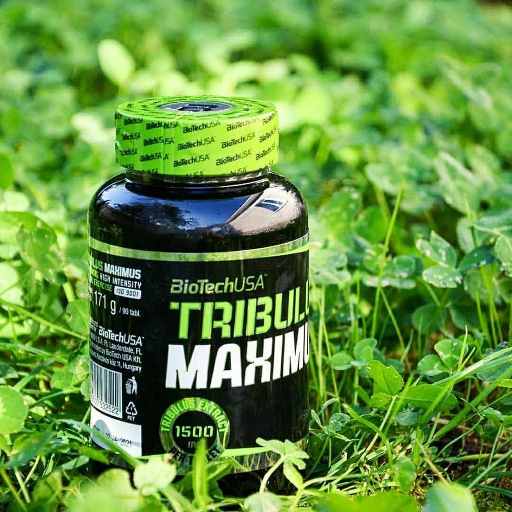 BioTechUSA - TRIBULUS MAXIMUS 1500mg tribulus terrestris 90 capsule - Punto Fitness