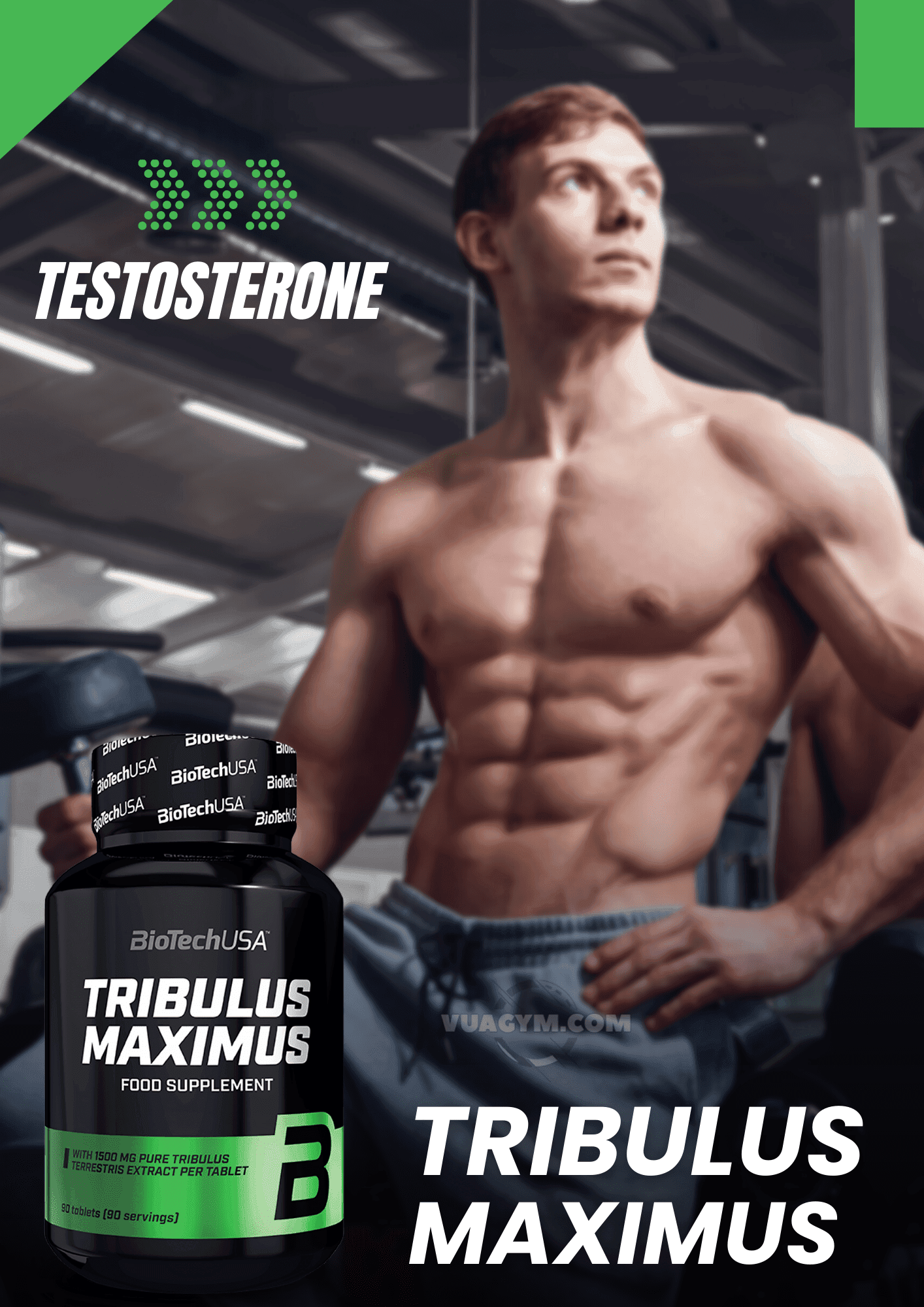 BioTechUSA - TRIBULUS MAXIMUS 1500mg tribulus terrestris 90 capsule - Punto Fitness