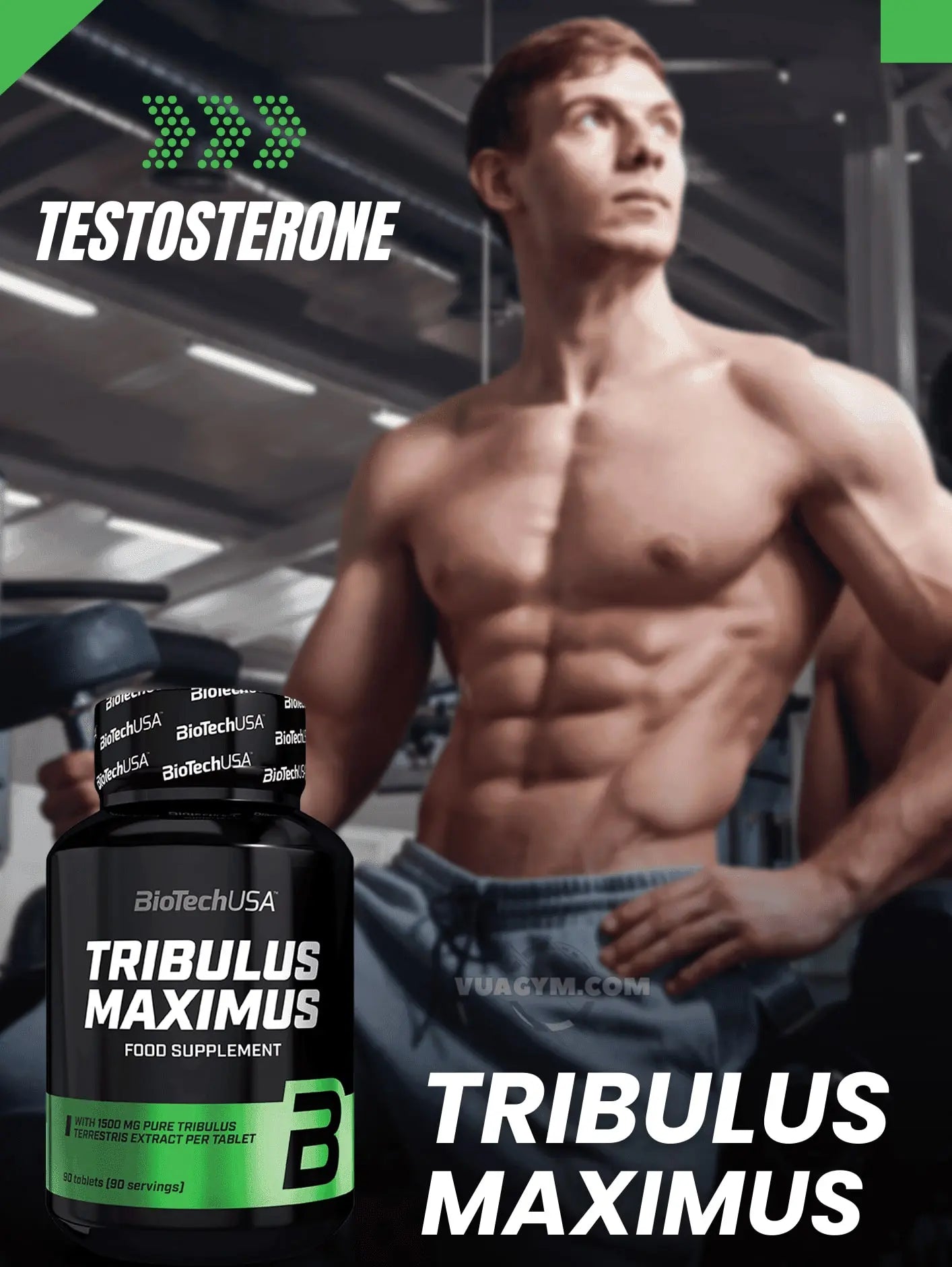 BioTechUSA - TRIBULUS MAXIMUS 1500mg tribulus terrestris 90 capsule - Punto Fitness Potenza