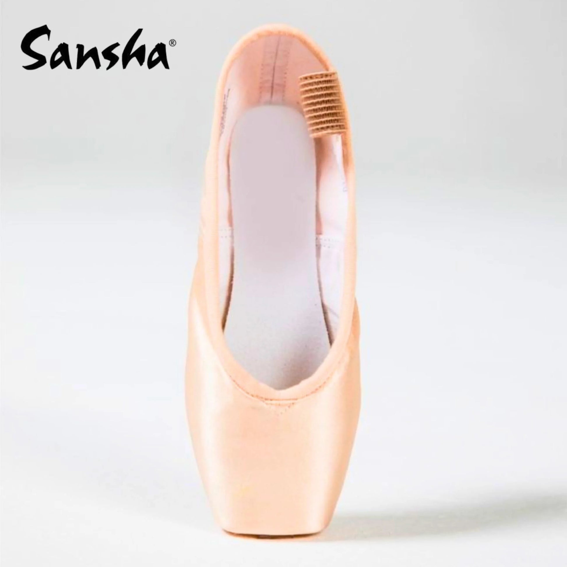 Punte Sansha Debutante D101SP scarpe da punta Danza Classica vista frontale - Punto Fitness Potenza