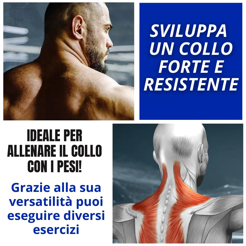 Sportech Italia - Cintura palestra allenamento collo, imbracatura testa per Workout Boxe, Calisthenics Bodybuilding - Head Harness con catena di metallo - Punto Fitness Potenza